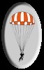 (c) Silverparachutes.com